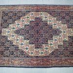 1017 7010 ORIENTAL RUG